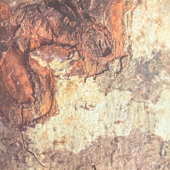 Scrapbook Paper! Wood Textures & Backgrounds! 12x12” - Picture 12 of 17